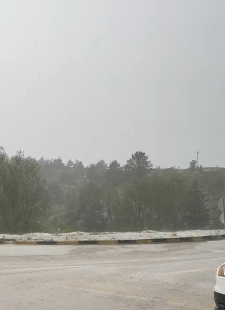 Araç 22