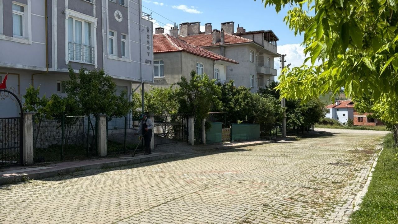 Belediye Düğmeye Bastı Taşköprü'de Temizlik Ve İlaçlama Çalışmaları Hızlandı (1)