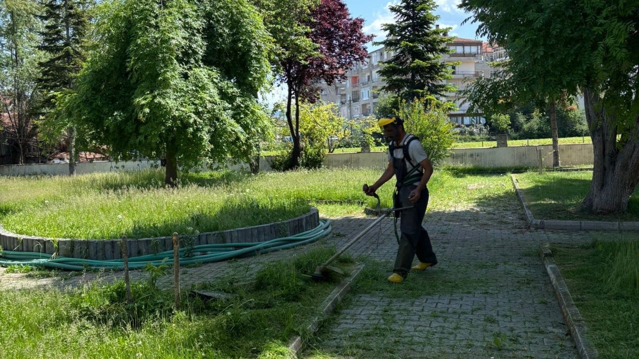 Belediye Düğmeye Bastı Taşköprü'de Temizlik Ve İlaçlama Çalışmaları Hızlandı (3)
