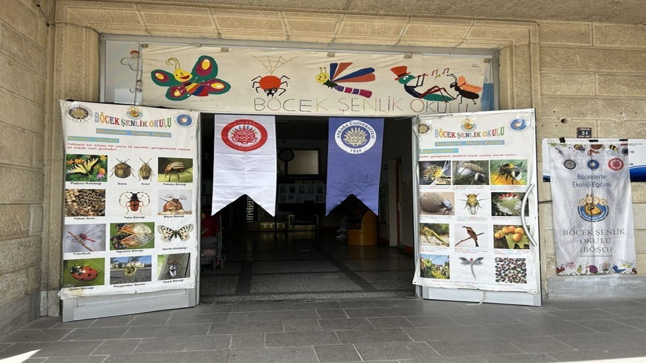 Böşek Şenliği (4)