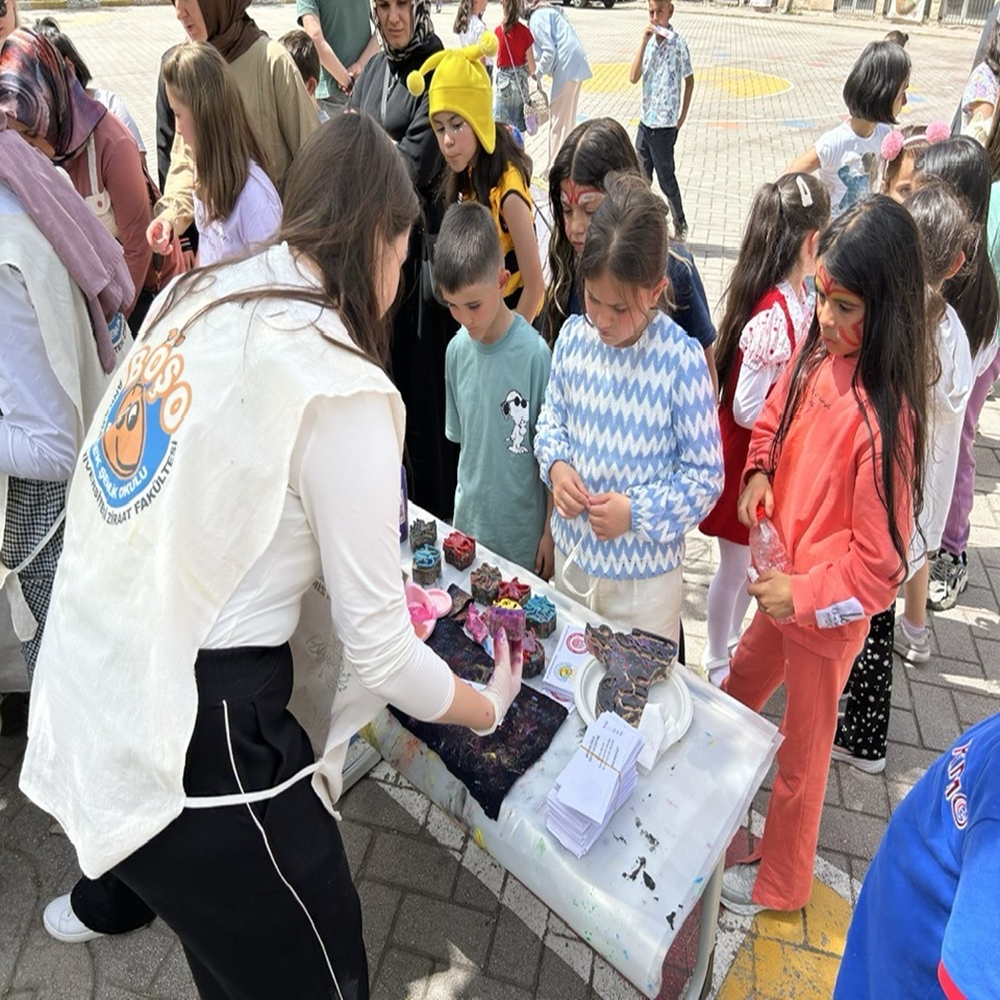 Böşek Şenliği (5)