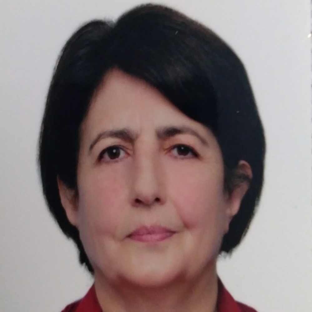 Emekli Öğretmen Neriman Gül (1)