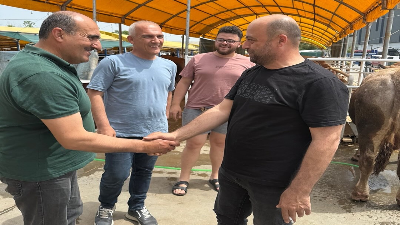 Engin Altıkulaç Istanbul Kurbanlık (1)
