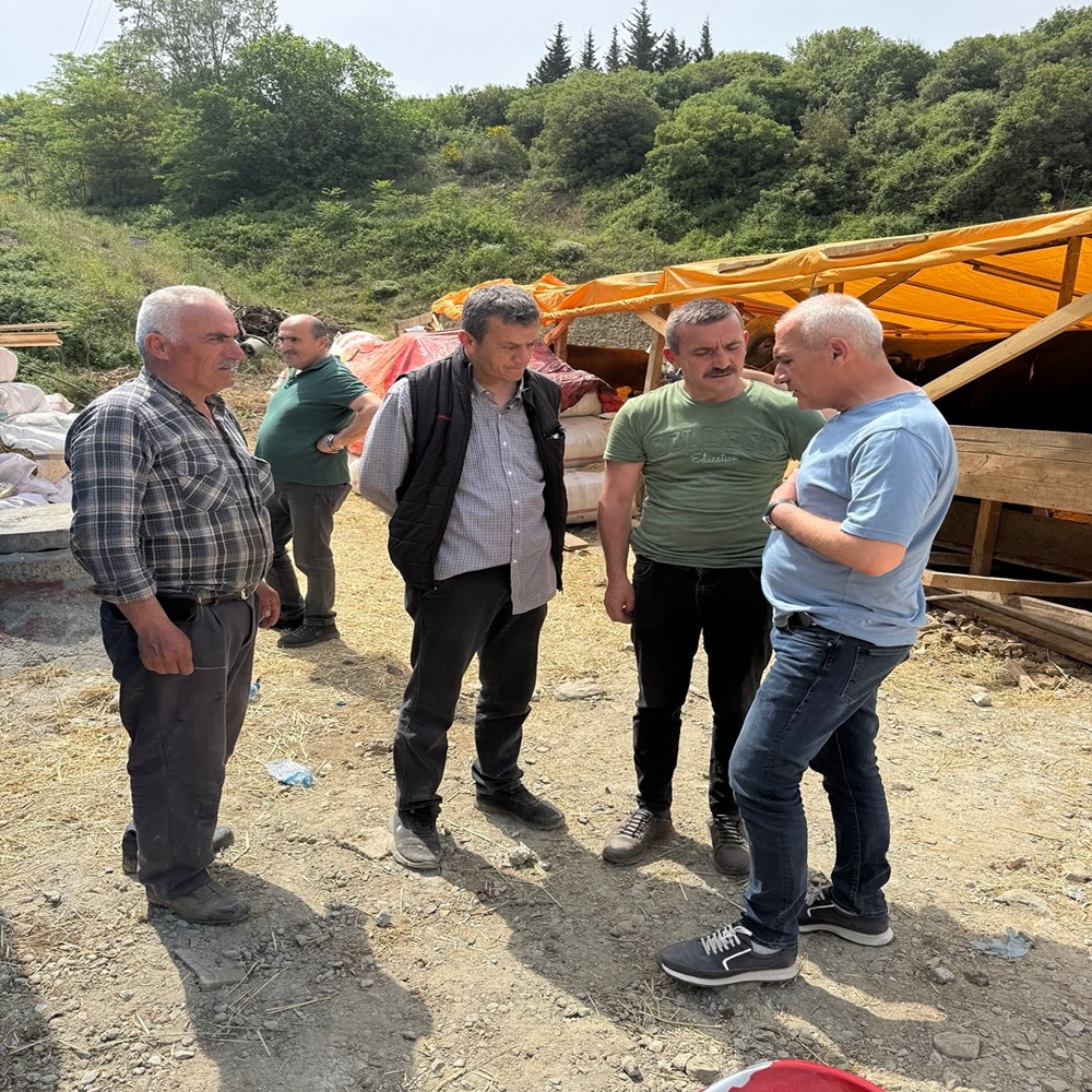 Engin Altıkulaç Istanbul Kurbanlık (4)
