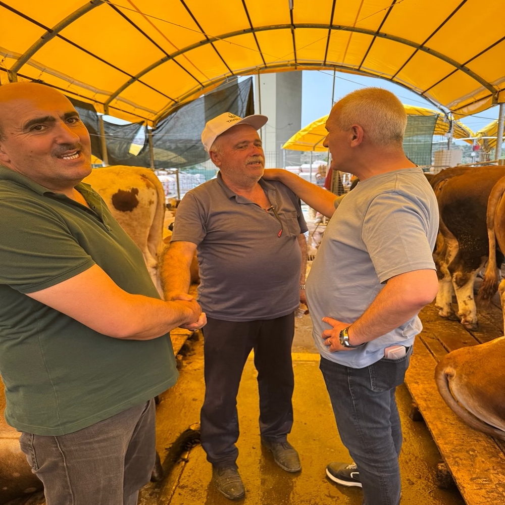 Engin Altıkulaç Istanbul Kurbanlık (7)