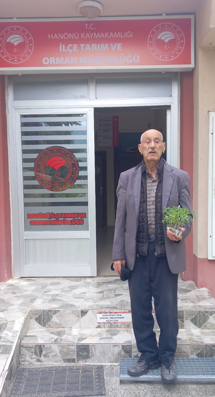 Hanönü'de Üreticiye Destek Yağdı 25 Bin Adet Fide Dağıtıldı! 3