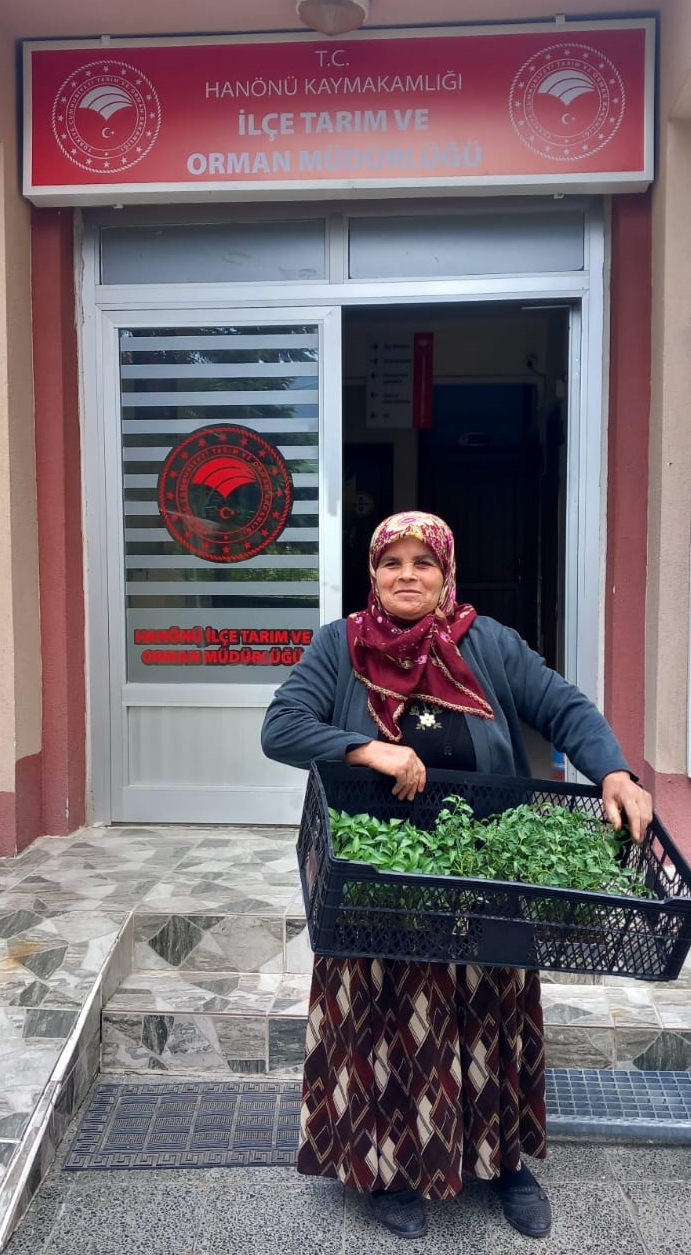 Hanönü'de Üreticiye Destek Yağdı 25 Bin Adet Fide Dağıtıldı! 4