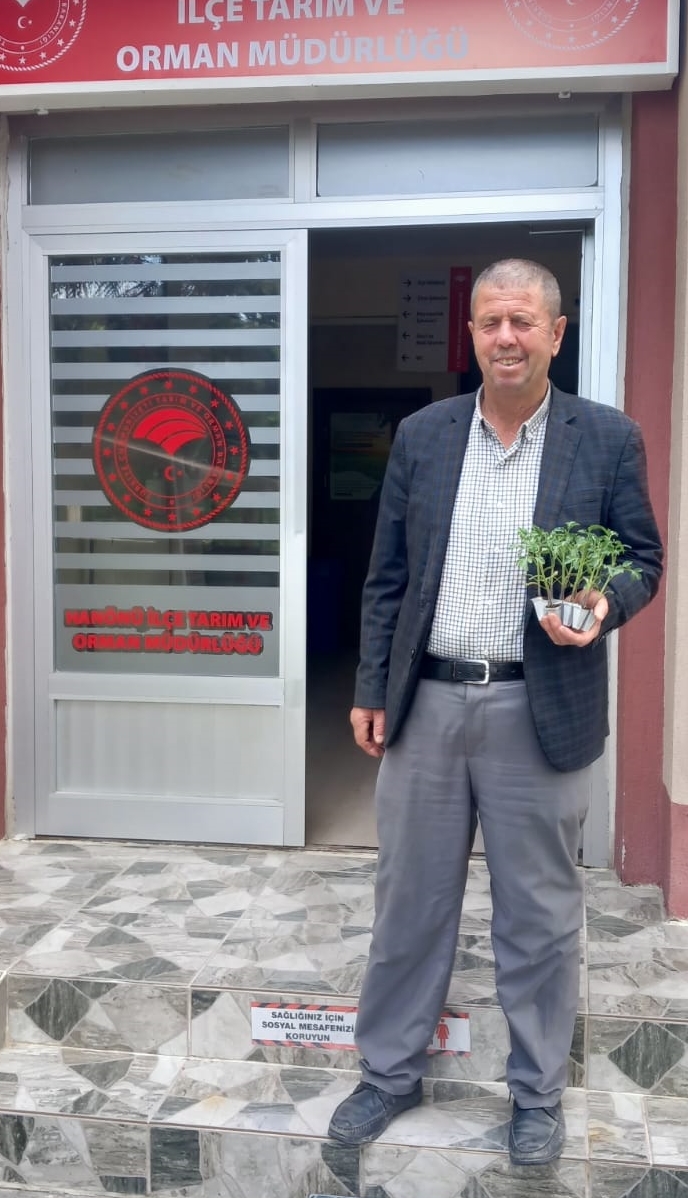Hanönü'de Üreticiye Destek Yağdı 25 Bin Adet Fide Dağıtıldı!