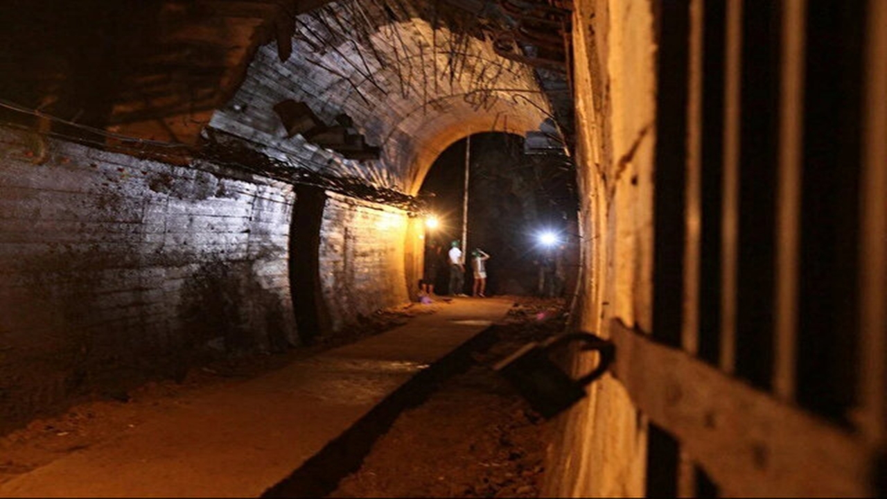 Hazine Tren Altın (1)