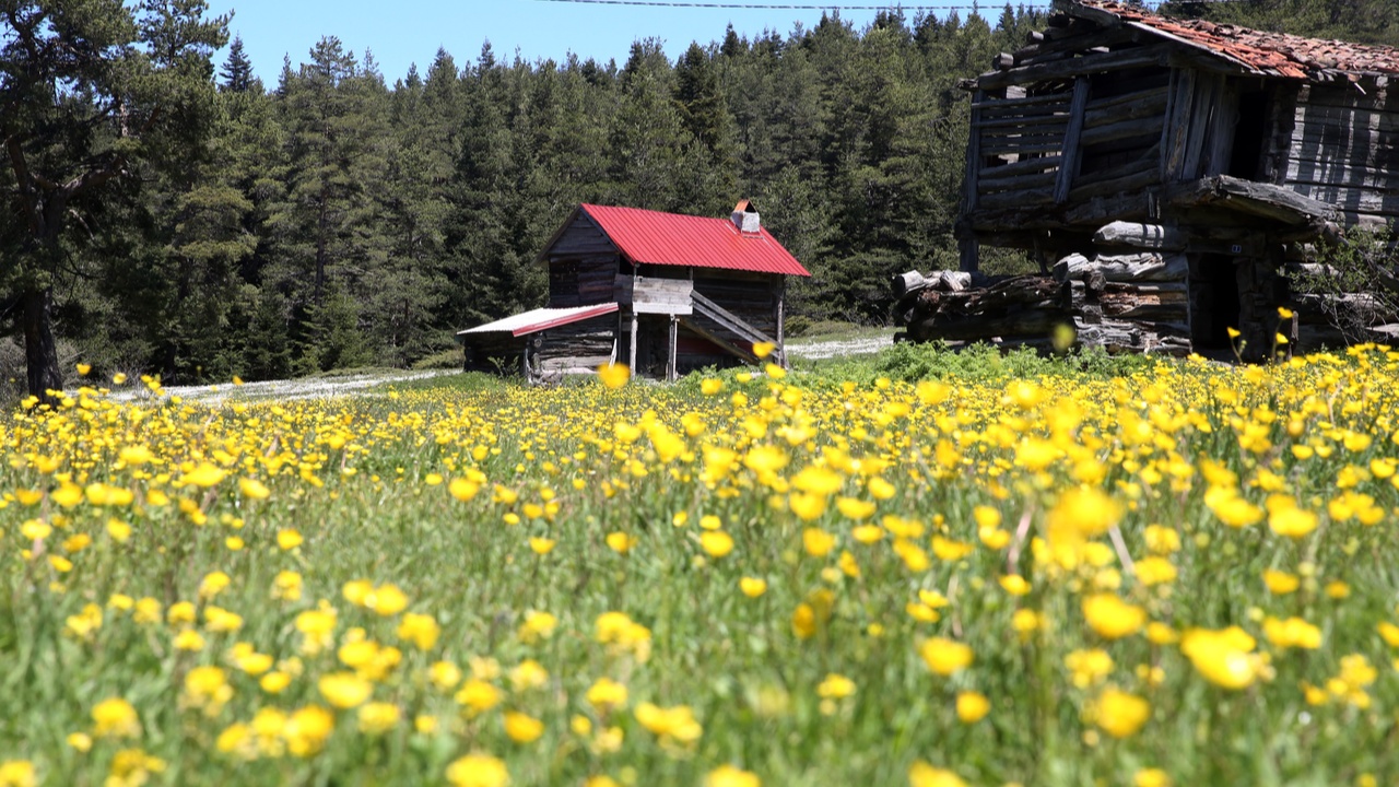 Kastamonu Araç Yaylaları (1)