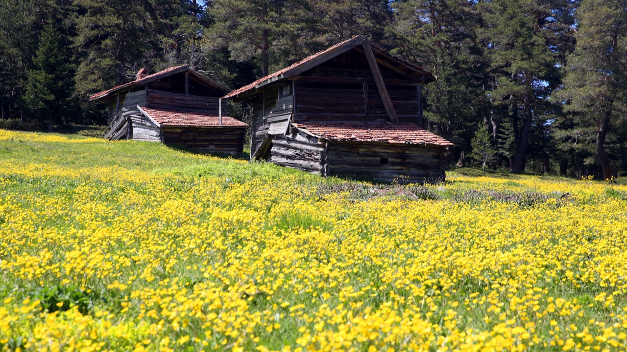 Kastamonu Araç Yaylaları (11)