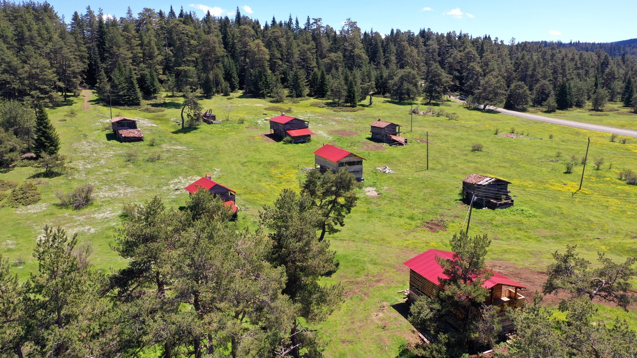 Kastamonu Araç Yaylaları (14)