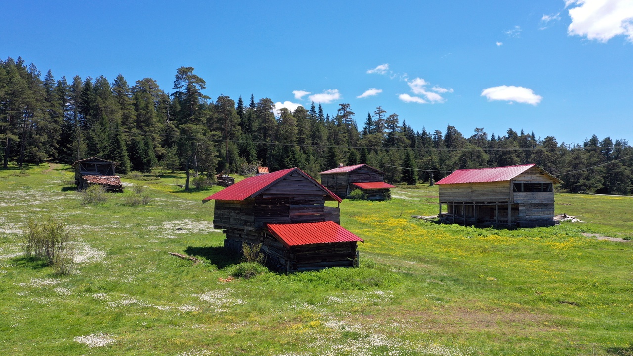 Kastamonu Araç Yaylaları (15)