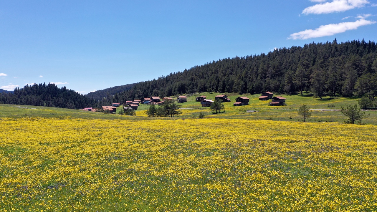 Kastamonu Araç Yaylaları (16)