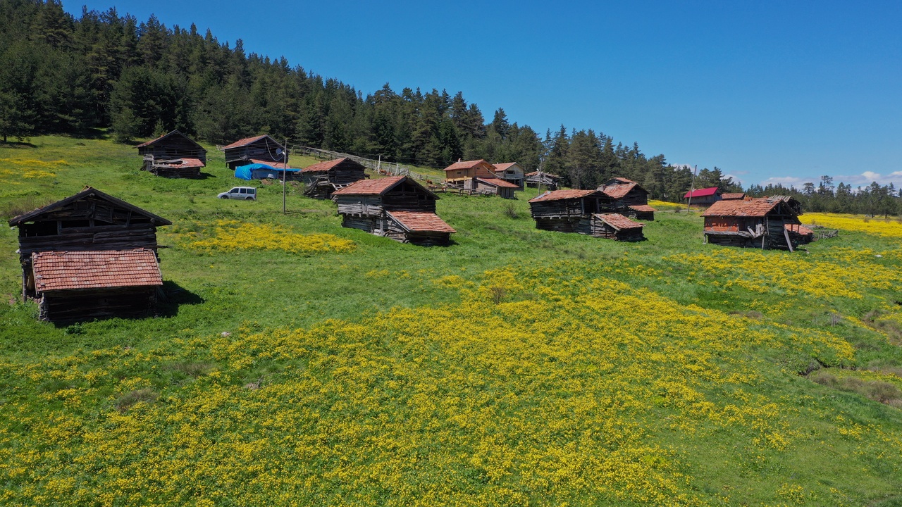 Kastamonu Araç Yaylaları (18)