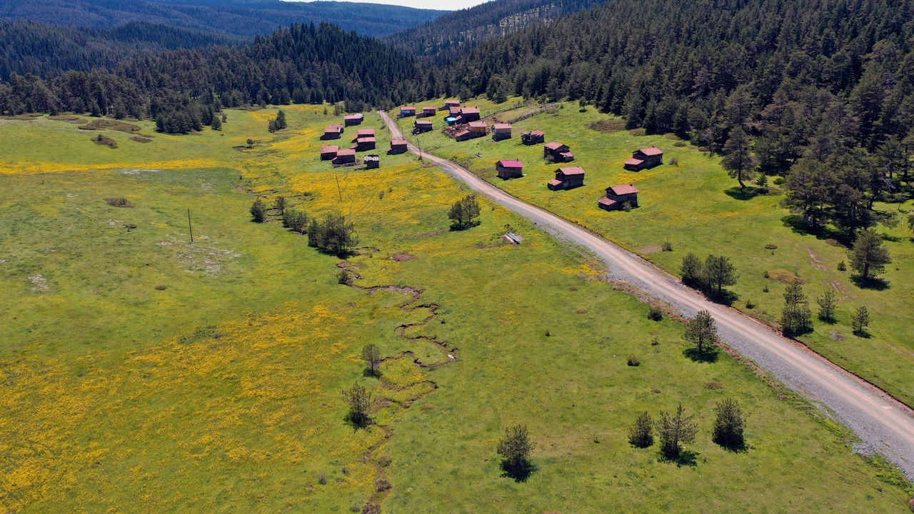 Kastamonu Araç Yaylaları (19)