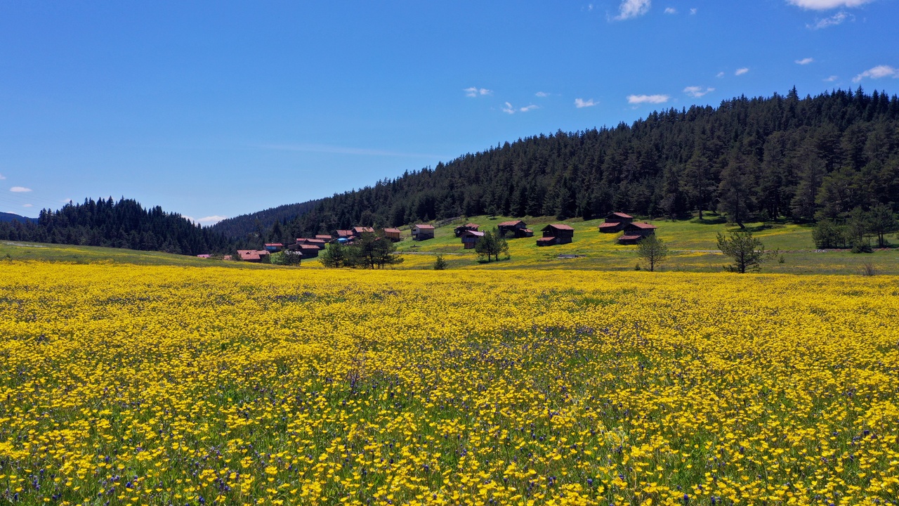 Kastamonu Araç Yaylaları (20)