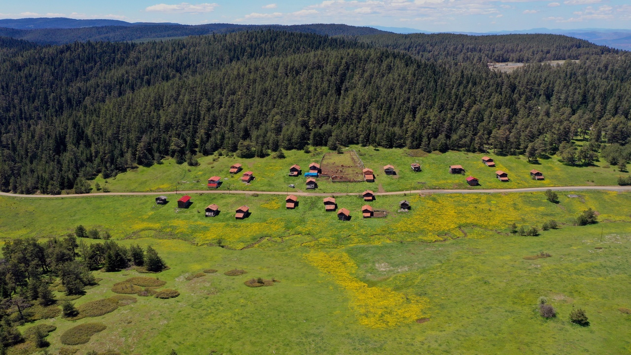 Kastamonu Araç Yaylaları (22)