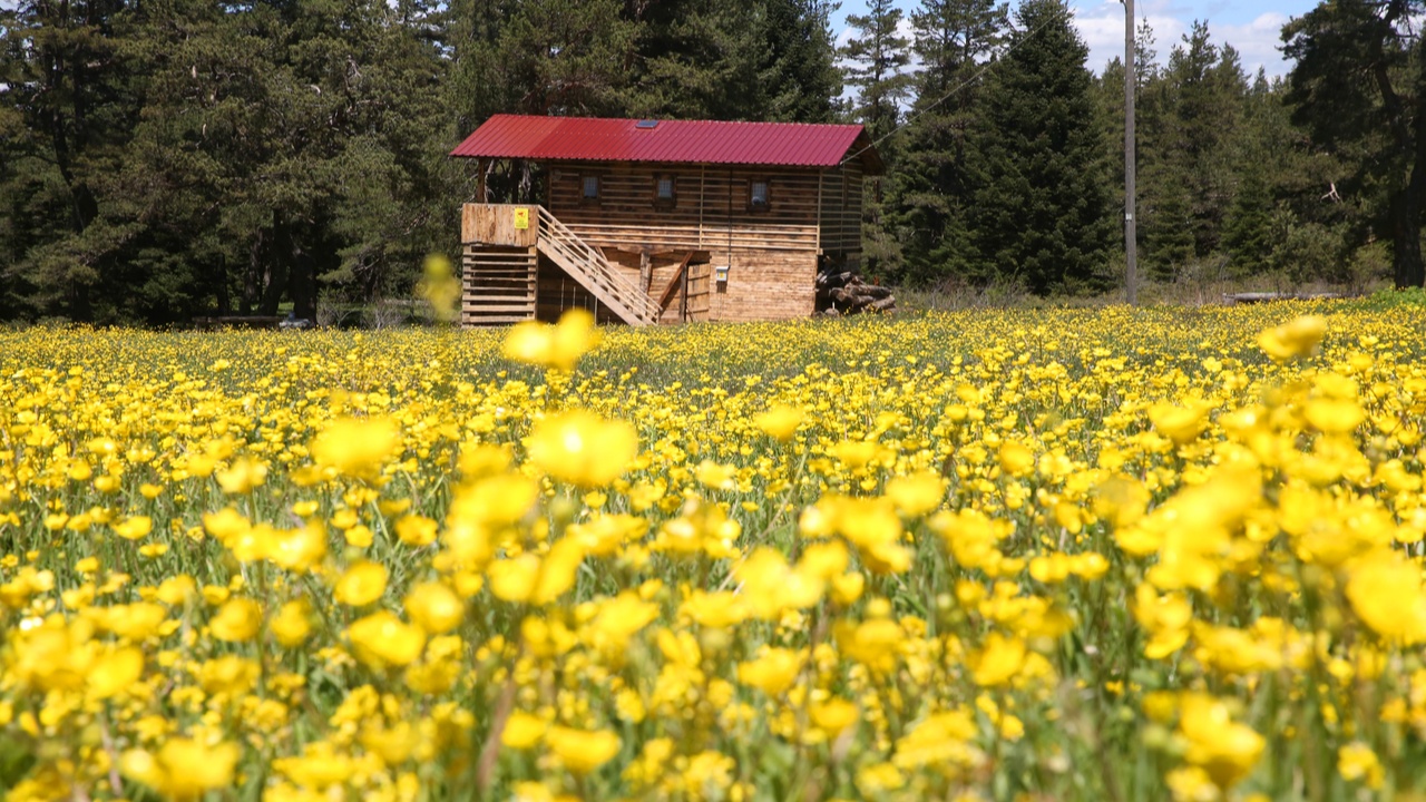 Kastamonu Araç Yaylaları (3)