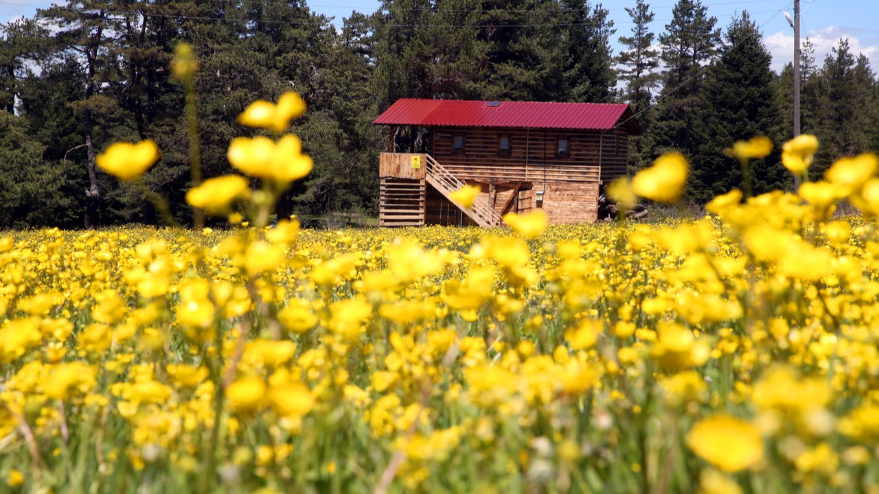 Kastamonu Araç Yaylaları (4)