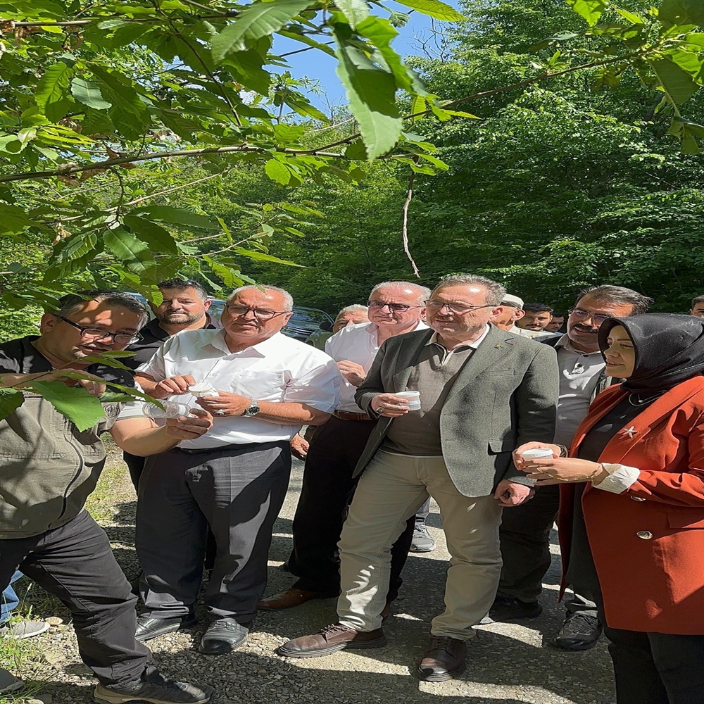 Kastamonu Gal Arası Biyolik Mücadele (6)