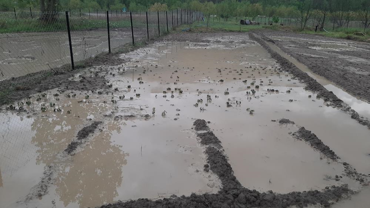 Kastamonu Krabük Dolu Yağışı (3)
