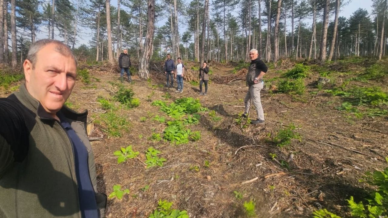 Kastamonu Obm Gençleştirme Çalışmalarını Yerinde Inceledi (1)