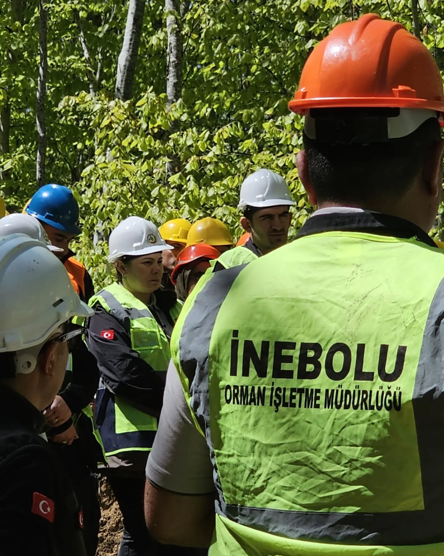 Kastamonu Obm'den Silvikültür Eğitimlerinde Önemli Adım! 1