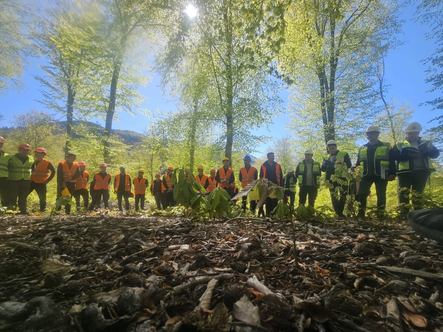 Kastamonu Obm'den Silvikültür Eğitimlerinde Önemli Adım! 7