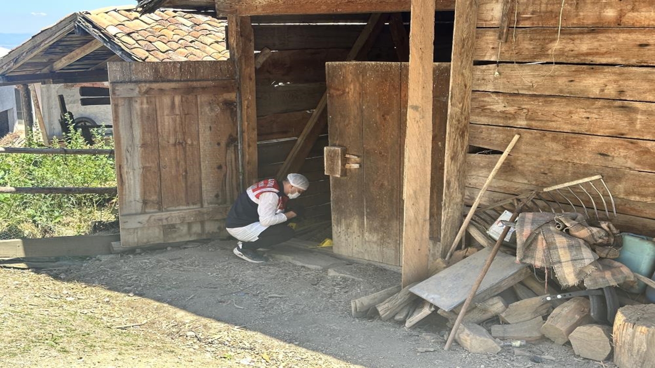 Kastamonu Samanlık Cinayet Balta (4)