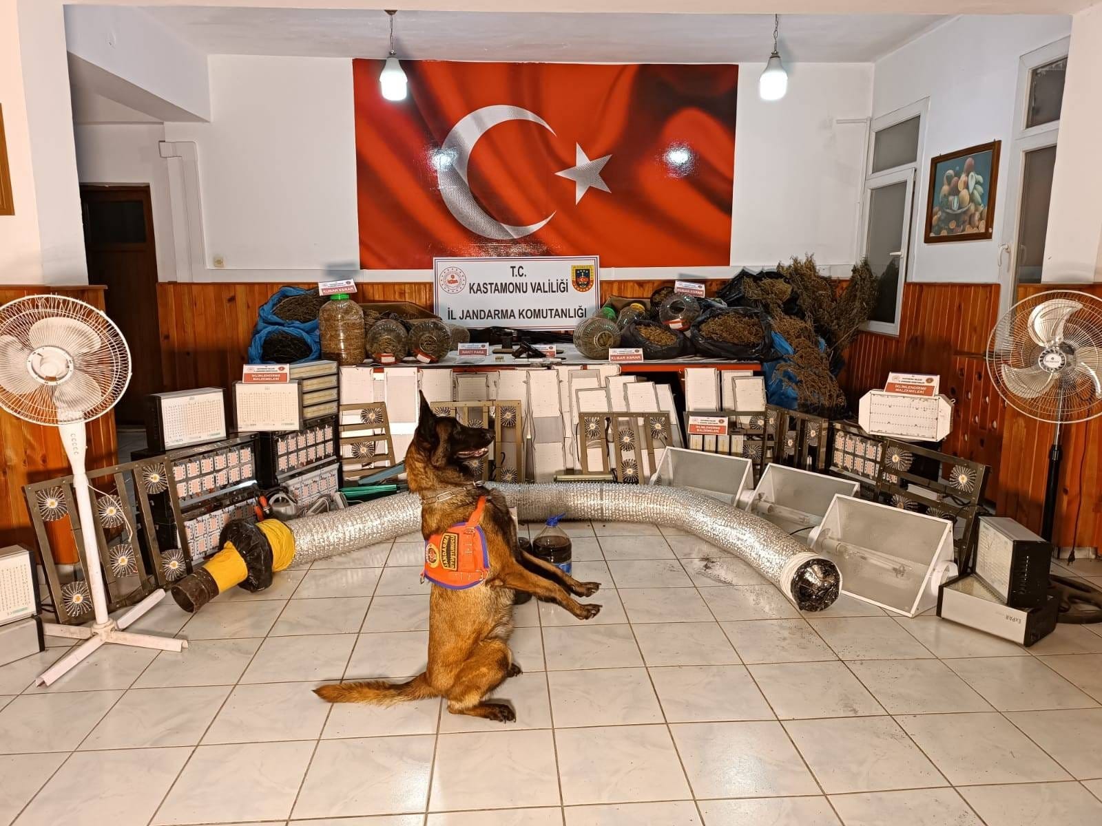 Kastamonu'da Evlerini Kenevir Serası Yapan Sanıklar Yargılanıyor 'Tahliyemi Talep Ediyorum' 2