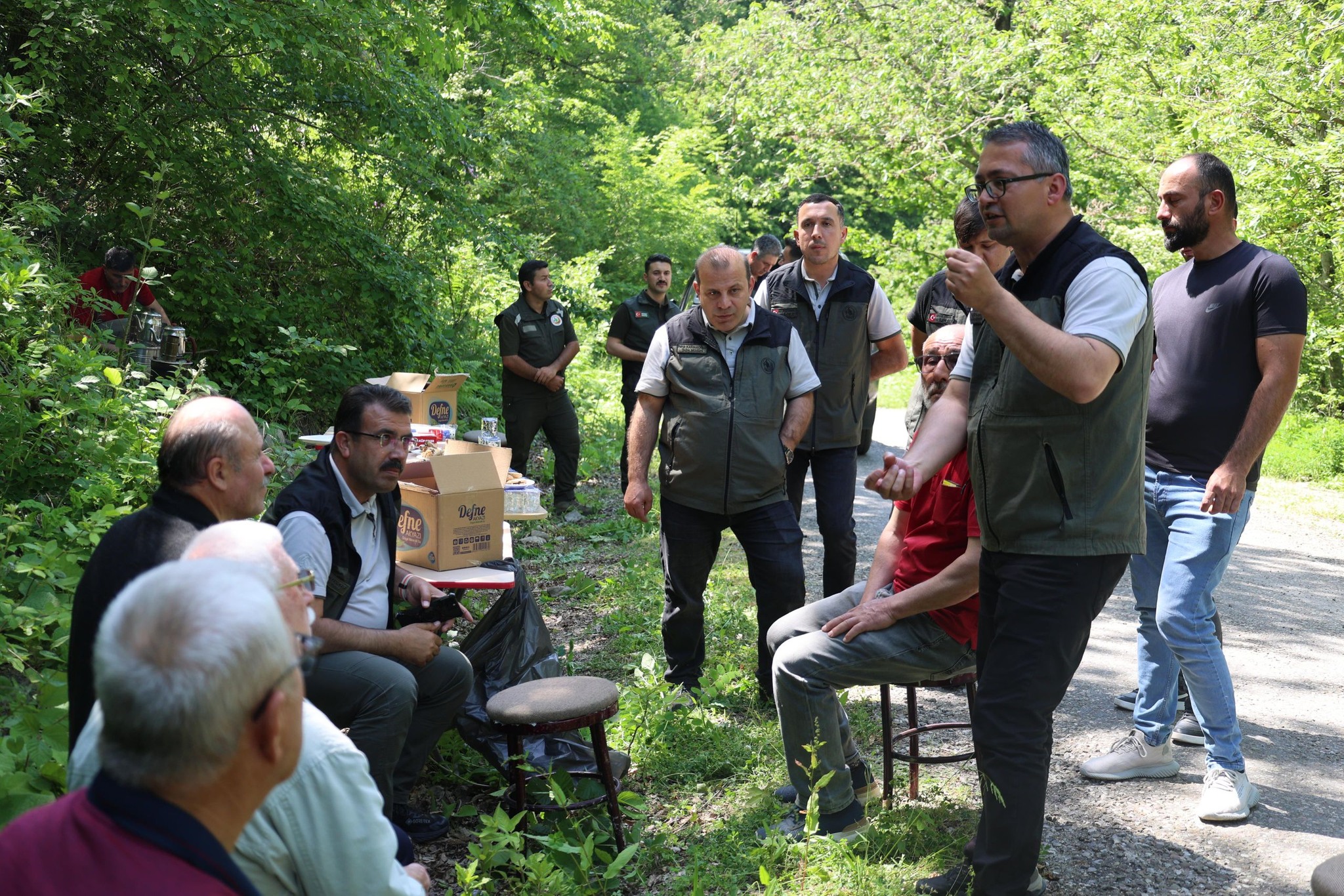 Kastamonu'da Gal Arısına Karşı Mücadele Başladı 1