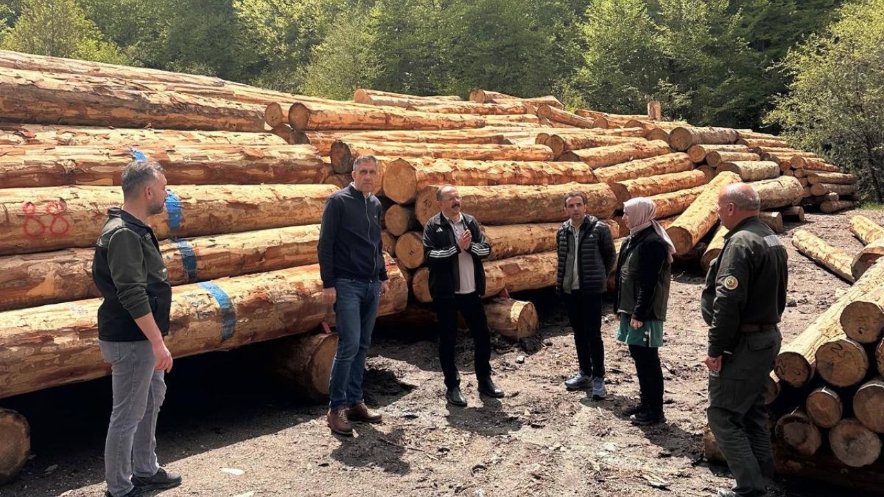 Kastamonu’da Orman Ürünlerinde Kalite Denetimi Başarıyla Tamamlandı (2)