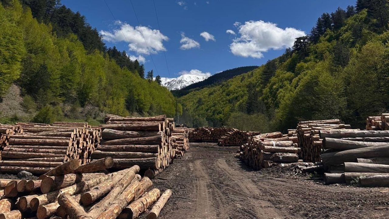 Kastamonu’da Orman Ürünlerinde Kalite Denetimi Başarıyla Tamamlandı (3)
