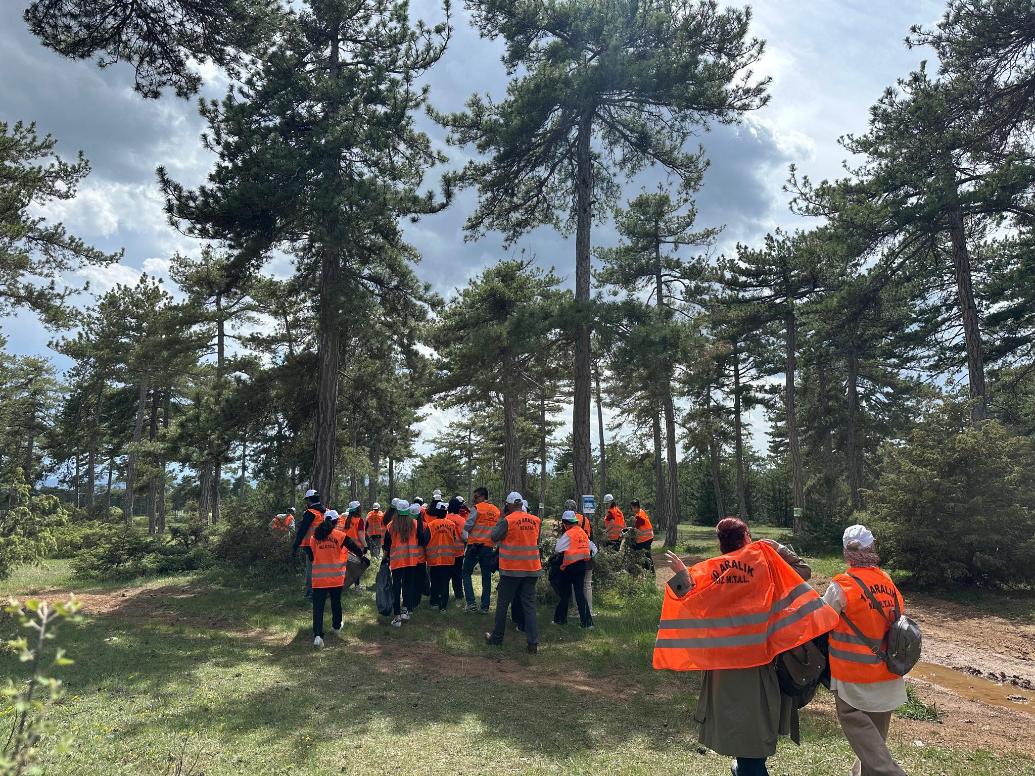 Kastamonu'da Protokol Üyeleri Ve Öğrenciler Orman Için Buluştu! 7