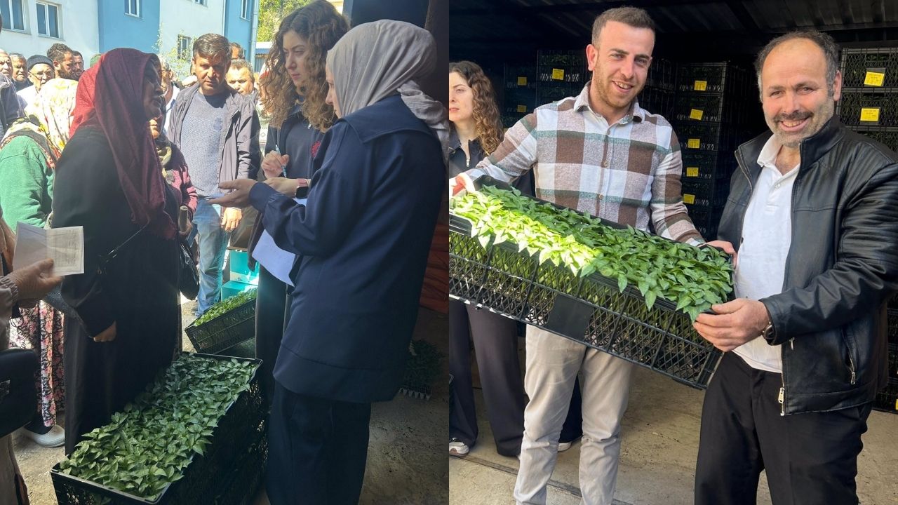 Kastamonu’da Üreticiye Can Suyu 400 Çiftçi Fide Ve Tohumlarını Aldı (1)