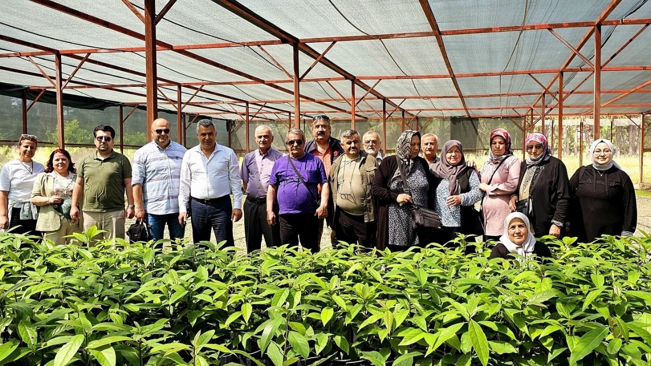 Kastamonulu Çiftçiler Antalya’da Seracılık Uygulamalarını Yerinde Gördü (2)