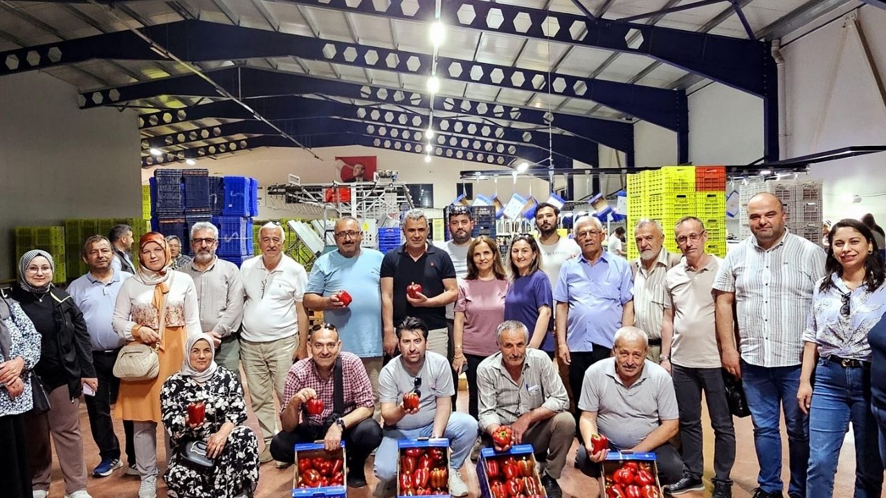 Kastamonulu Çiftçiler Antalya’da Seracılık Uygulamalarını Yerinde Gördü (3)