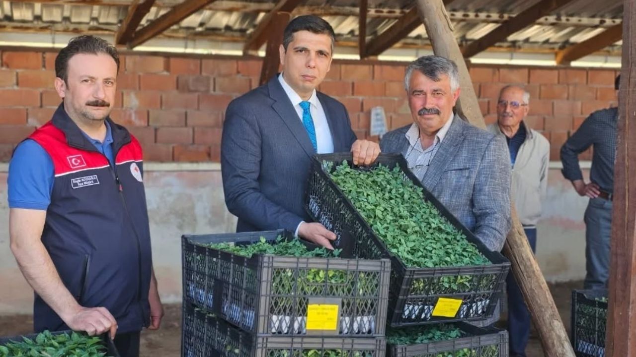 Kastamonu’nun Ilçesinde 15 Binden Fazla Fide Üreticiyle Buluştu (1)