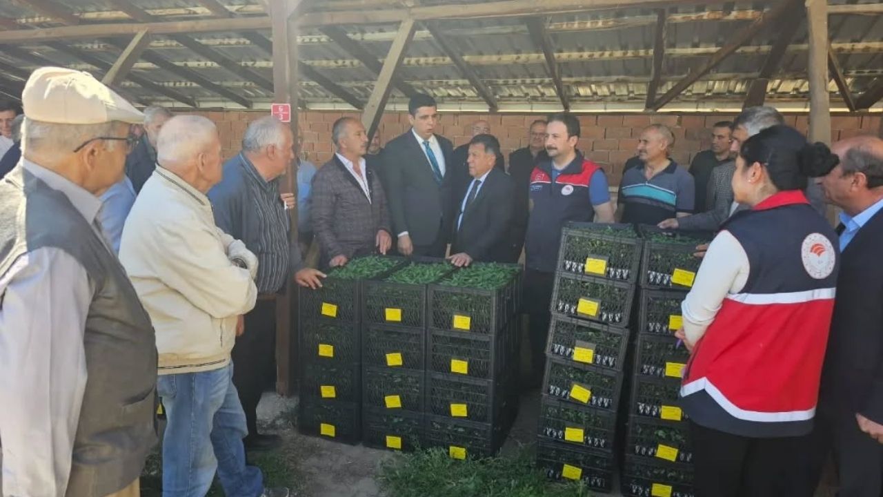 Kastamonu’nun Ilçesinde 15 Binden Fazla Fide Üreticiyle Buluştu (2)