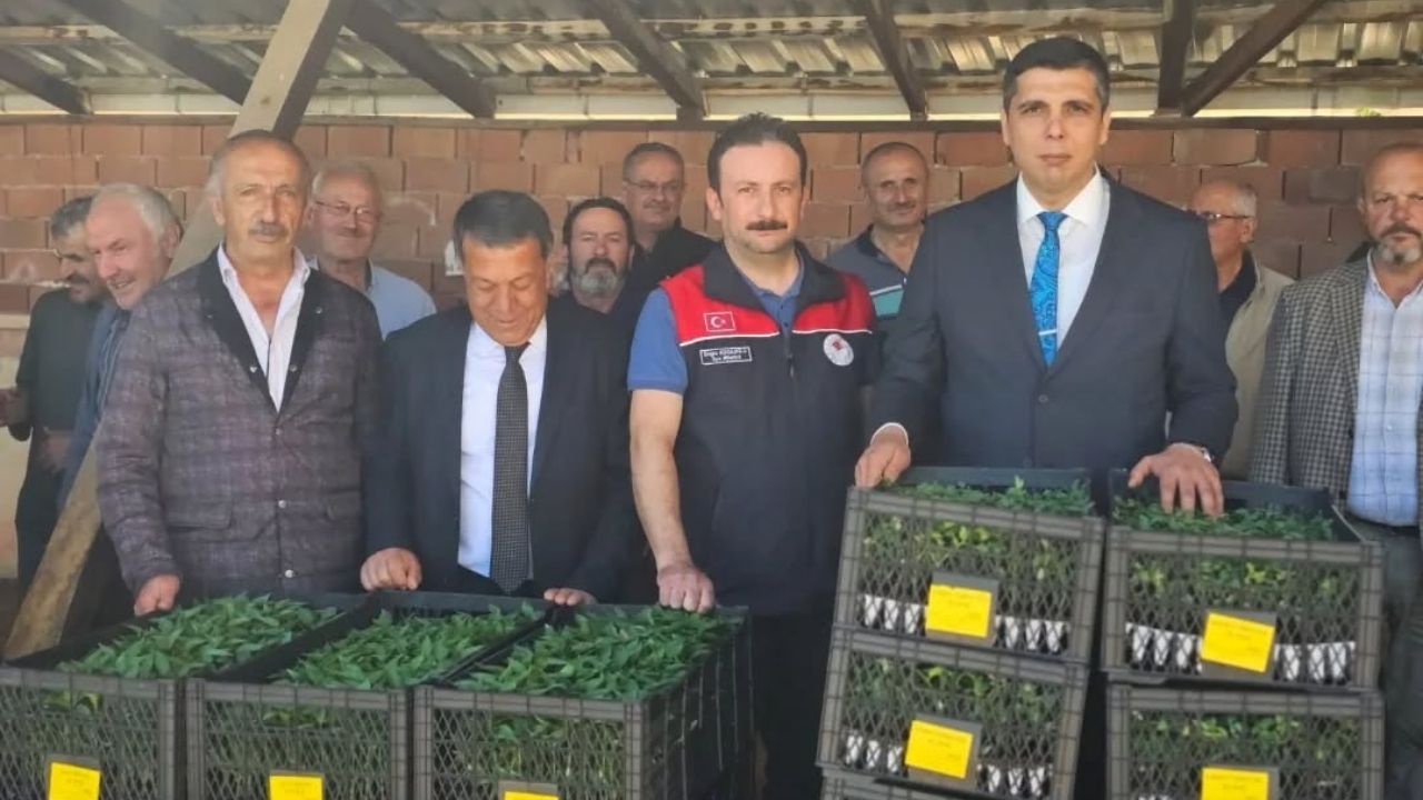 Kastamonu’nun Ilçesinde 15 Binden Fazla Fide Üreticiyle Buluştu (3)