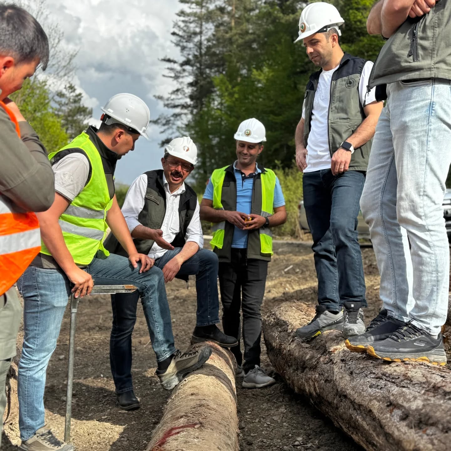 Kastamonu'nun Ilçesinde Ormanlar Teknolojiyle Yeniden Şekilleniyor 5