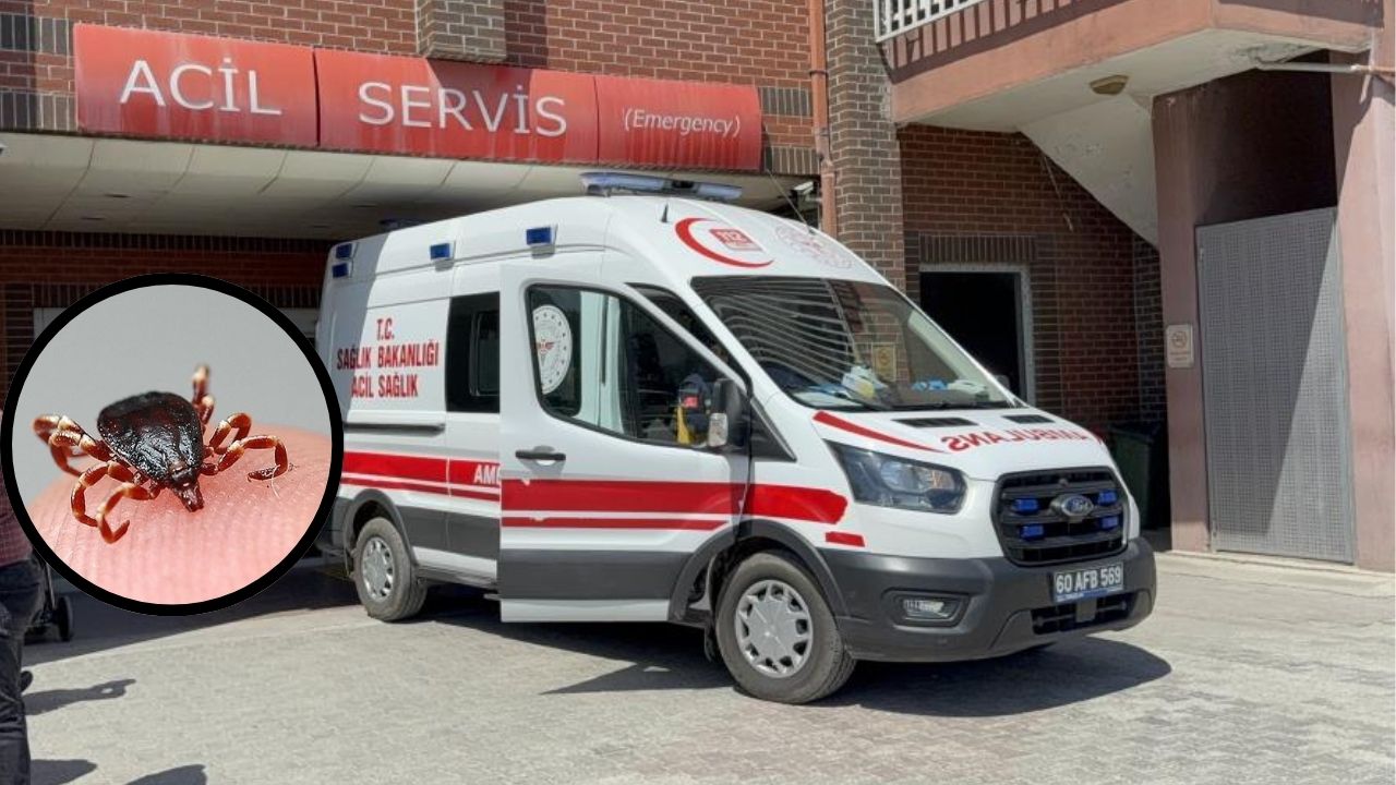 Kene Değil, Sessiz Katil! Minik Metehan Gözyaşlarına Boğdu