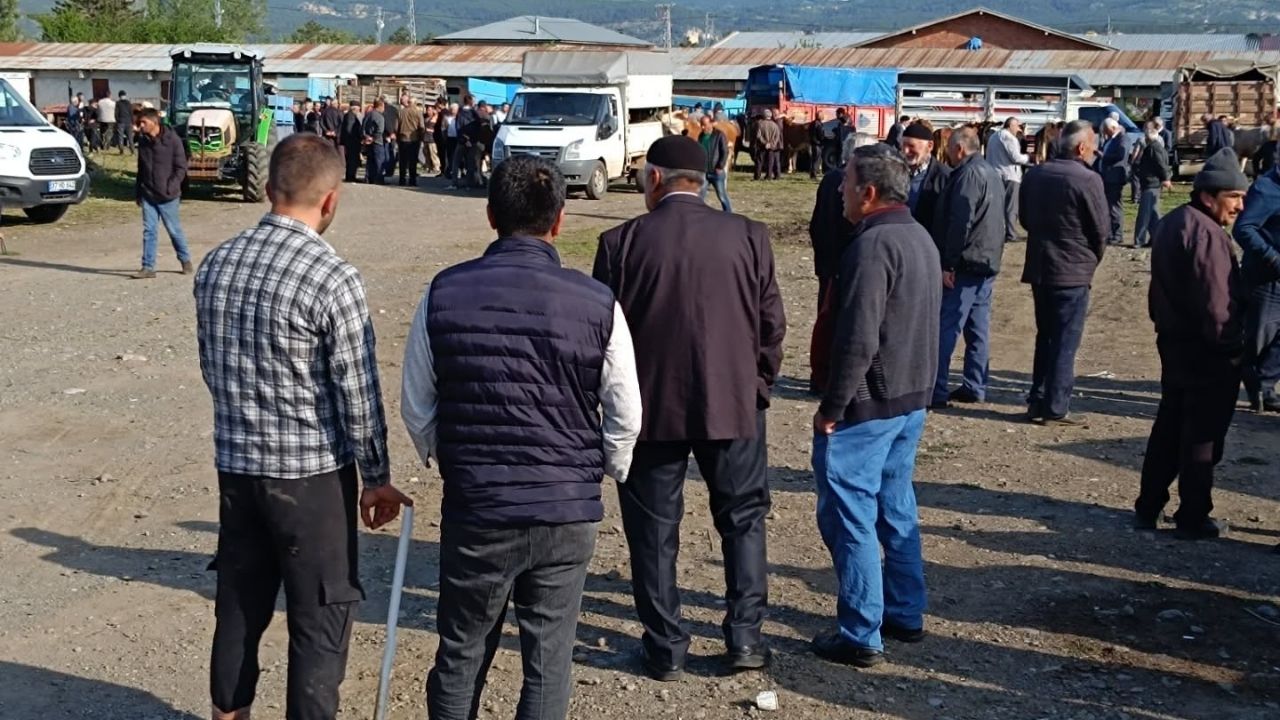 Kurban Bayramı Öncesi Büyük İlgi! Kastamonu’daki O İlçede Pazarlıklar Gün Işığında Başladı (2)