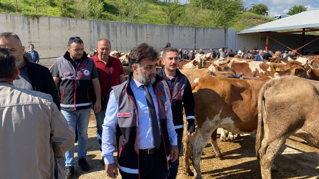 Kurban Bayramı Öncesi Kastamonu’da Hayvan Pazarlarına Sıkı Denetim (1)