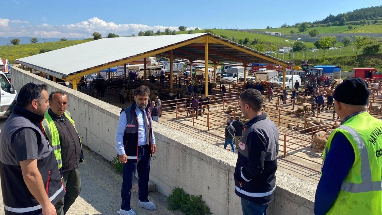 Kurban Bayramı Öncesi Kastamonu’da Hayvan Pazarlarına Sıkı Denetim (2)