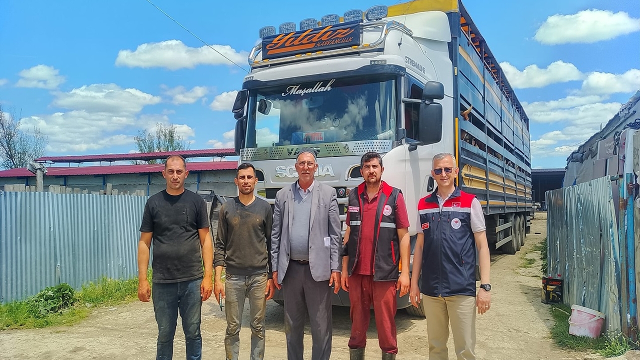 Kurbanlık 1