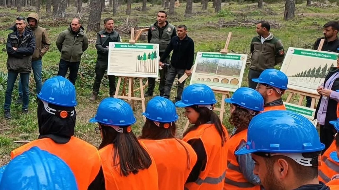 Orman Fakültesi Öğrencileri Kastamonu’da Saha Deneyimi Kazandı (1)