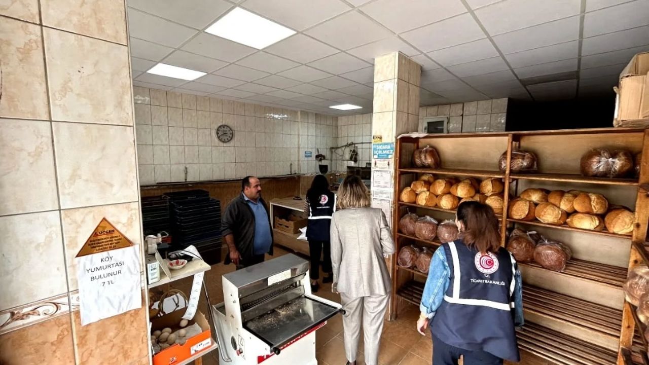 Seydiler Denetim (2)