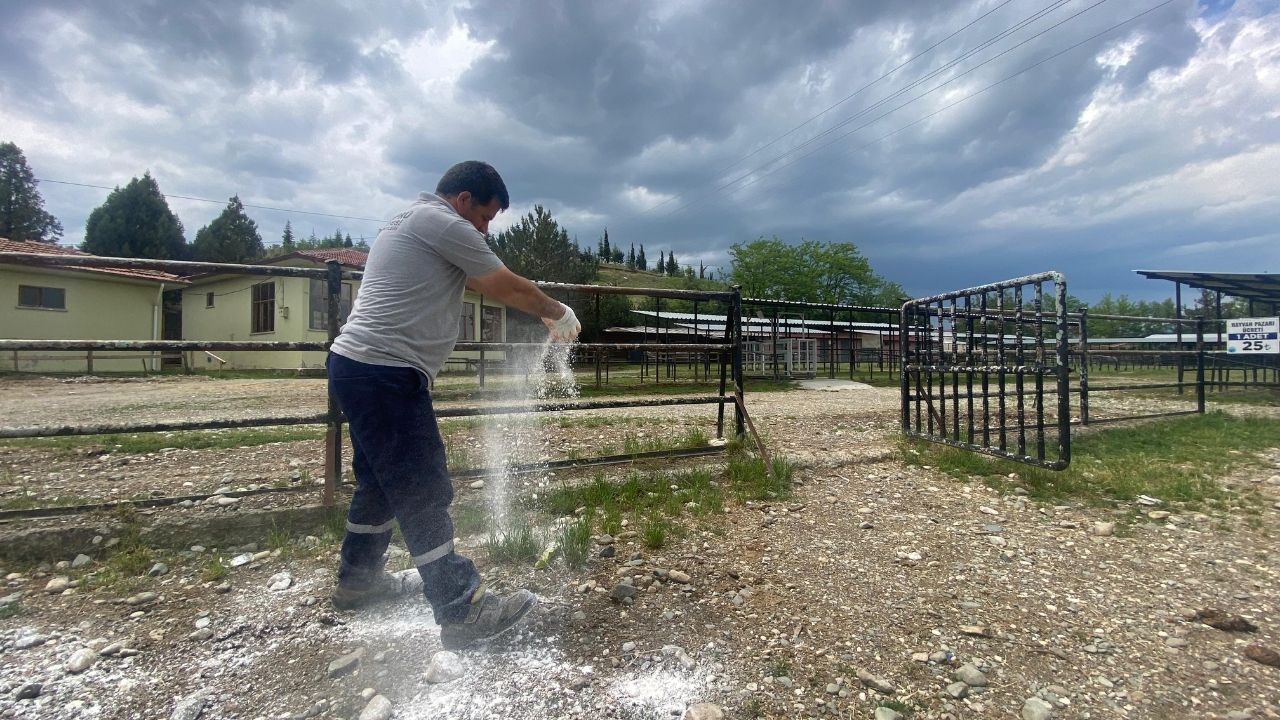 Taşköprü Belediyesi’nden Kurban Bayramı Öncesi Hayvan Pazarında Hijyen Çalışması (1)